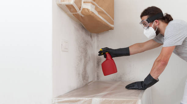 Professional Mold Remediation technician working in Concord, MA