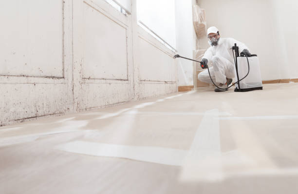 24/7 Emergency Mold Remediation experts in Concord, MA